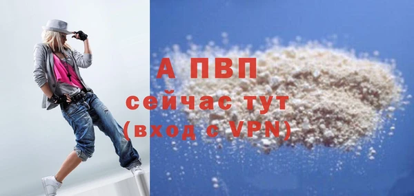 твердый Богданович