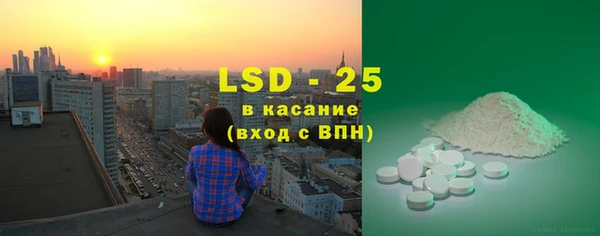 твердый Богданович