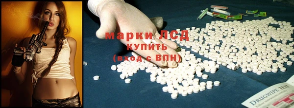 твердый Богданович