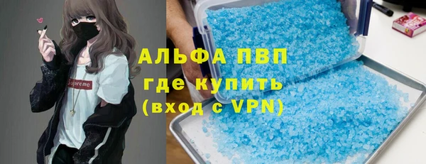 твердый Богданович
