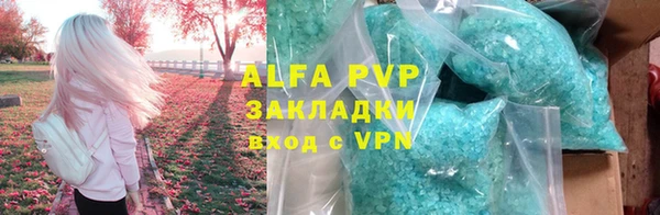 твердый Богданович