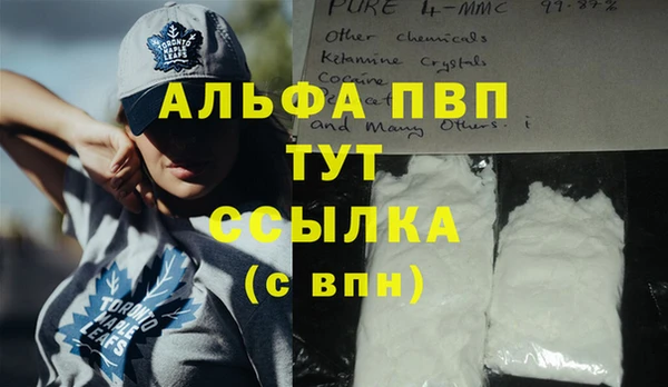 твердый Богданович
